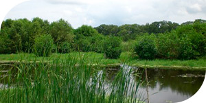 Ordenamiento ambiental del territorio INERCO Colombia